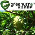 High quanlity natural graviola extract